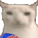 cat-cips