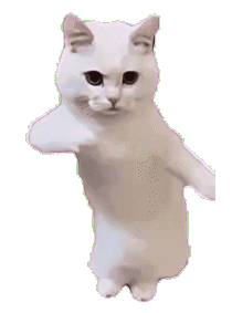 cat-dance2