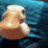 duckcowering