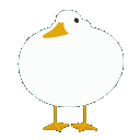 duckdance