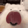 licka