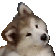 pogdog
