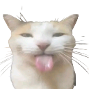 blehh-cat