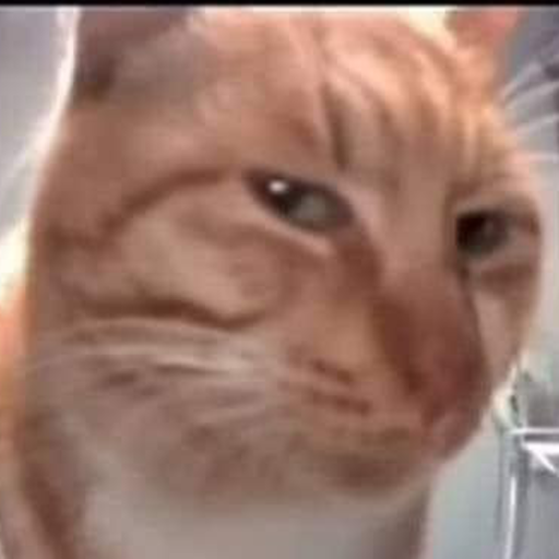 cat-sus