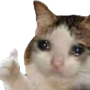 crythumbsup