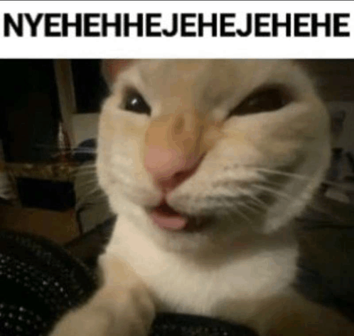 evilcat