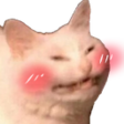 kitty-blush