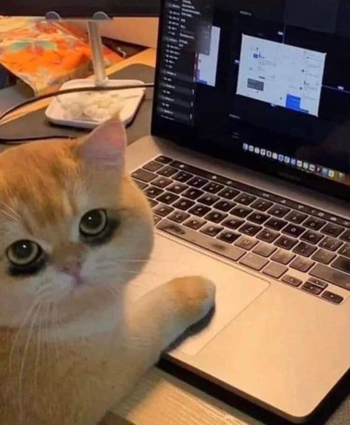 sneaky